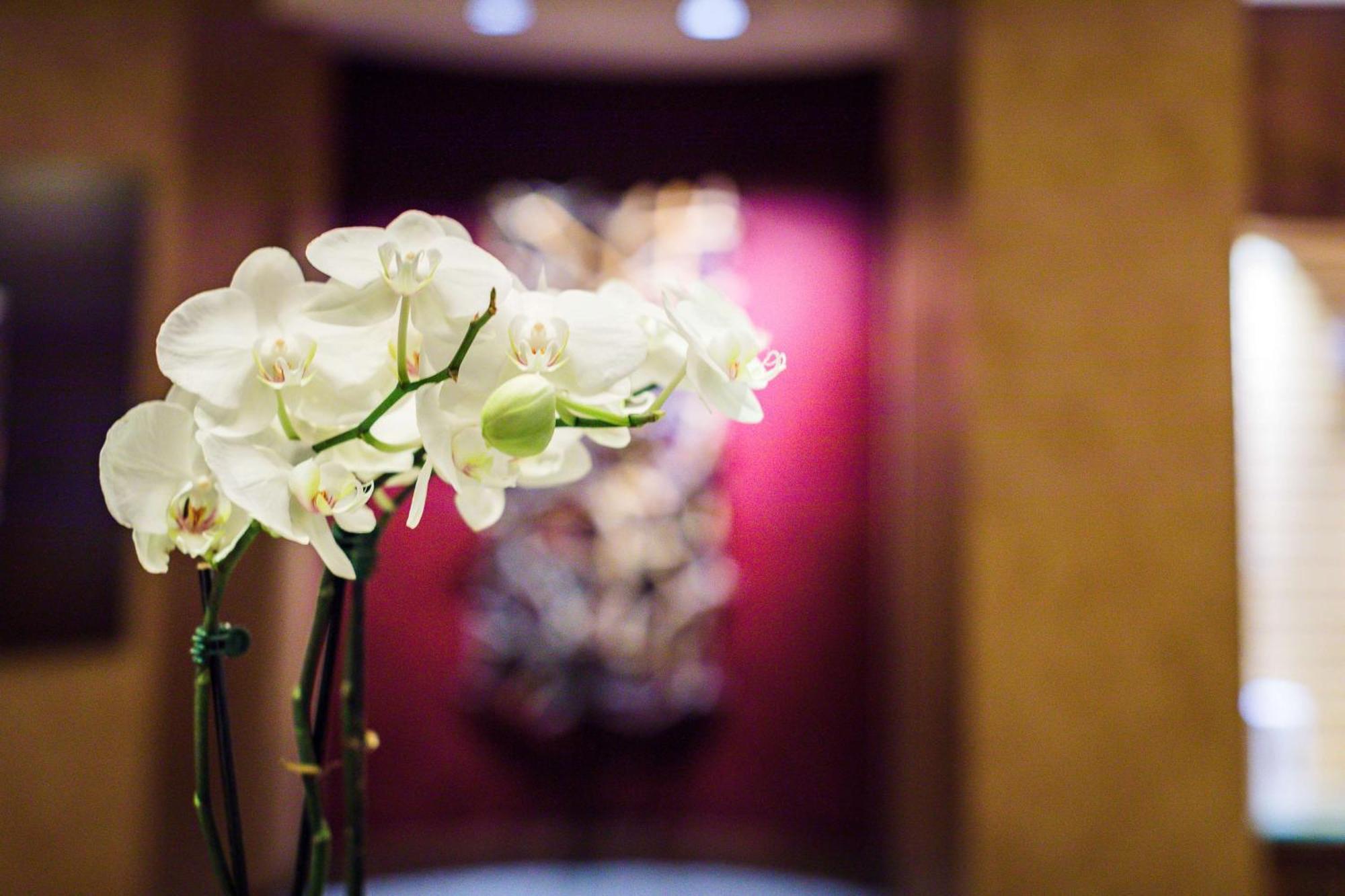 The Inverness Denver, A Hilton Golf & Spa Resort Englewood Εξωτερικό φωτογραφία